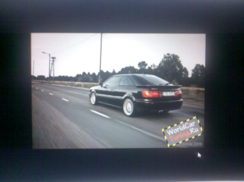 Никита Виткалов | Тюмень