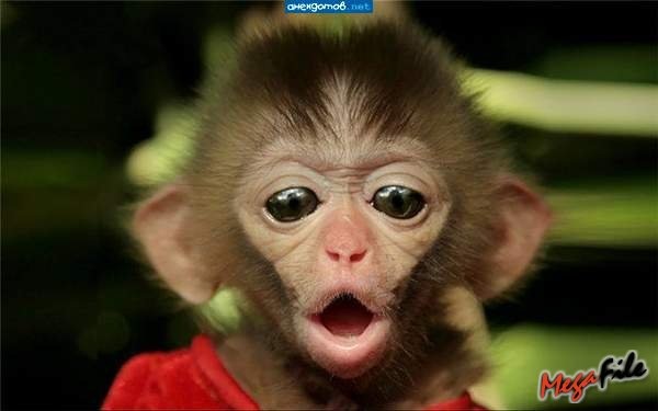 №15, Мария Патрушева №15, Мария Патрушева