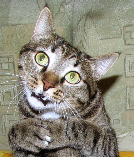 Игорь Же • Richardo Urtz • | Санкт-Петербург