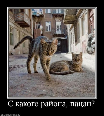 Даша Тимохина | Санкт-Петербург