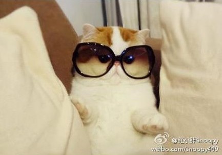 Aurélien Quemener | Paris