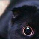 №18, ♥маргоритка♥ ♠голубева №18, ♥маргоритка♥ ♠голубева