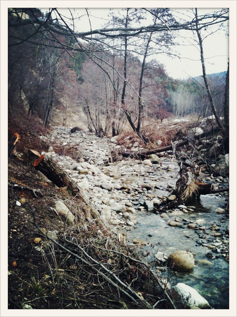 Максим Астахов | Москва