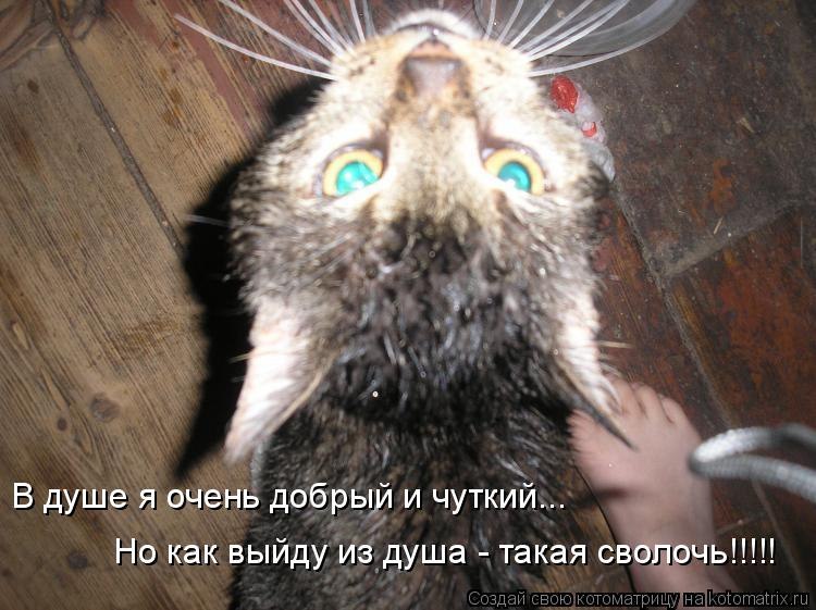 Женек Поляков | Санкт-Петербург