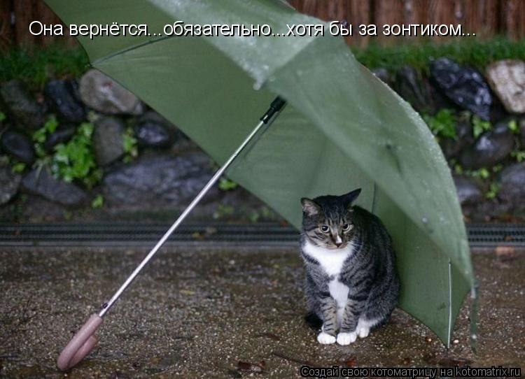 Женек Поляков | Санкт-Петербург