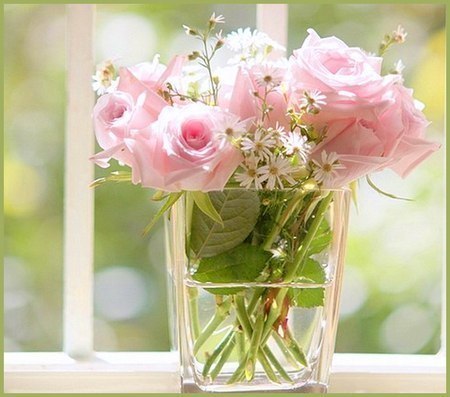 Маша Сива | Здолбунов