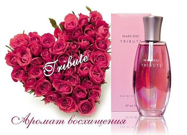 Ирина Носик | Saarbrücken