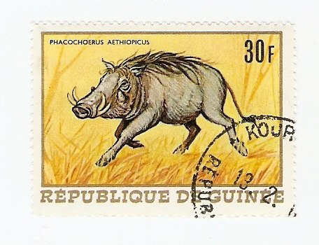 Жека Карпичев | Череповец