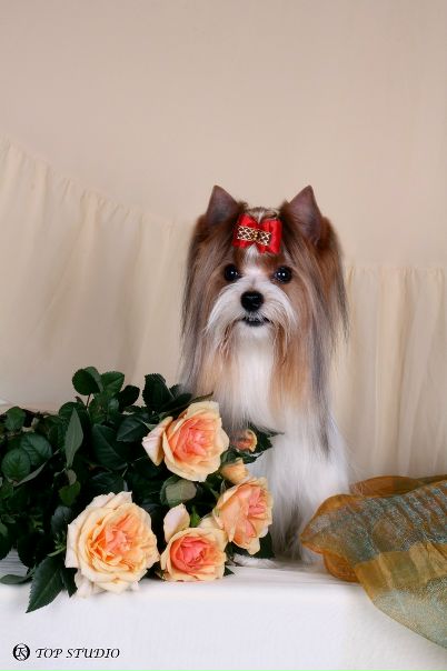 №200, Наталья Олишанская, Санкт-Петербург №200, Наталья Олишанская, Санкт-Петербург