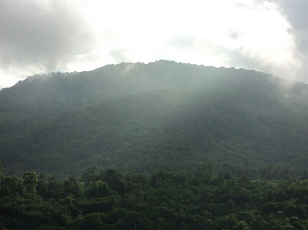 Николай Николаев | Казань