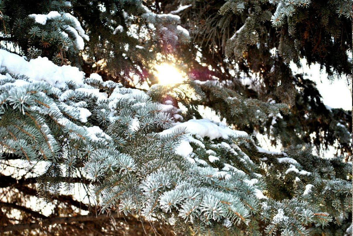 Татьяна Чикина | Запорожье