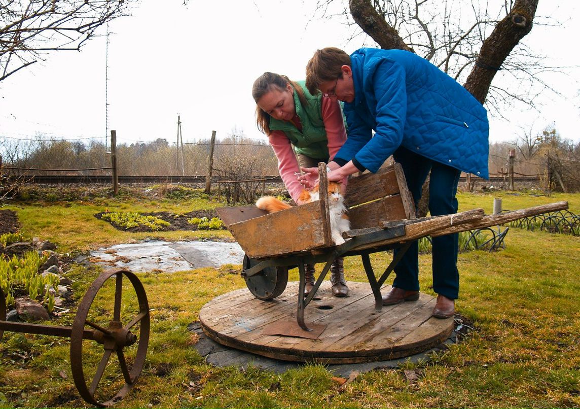 Марина Васильева | Калининград