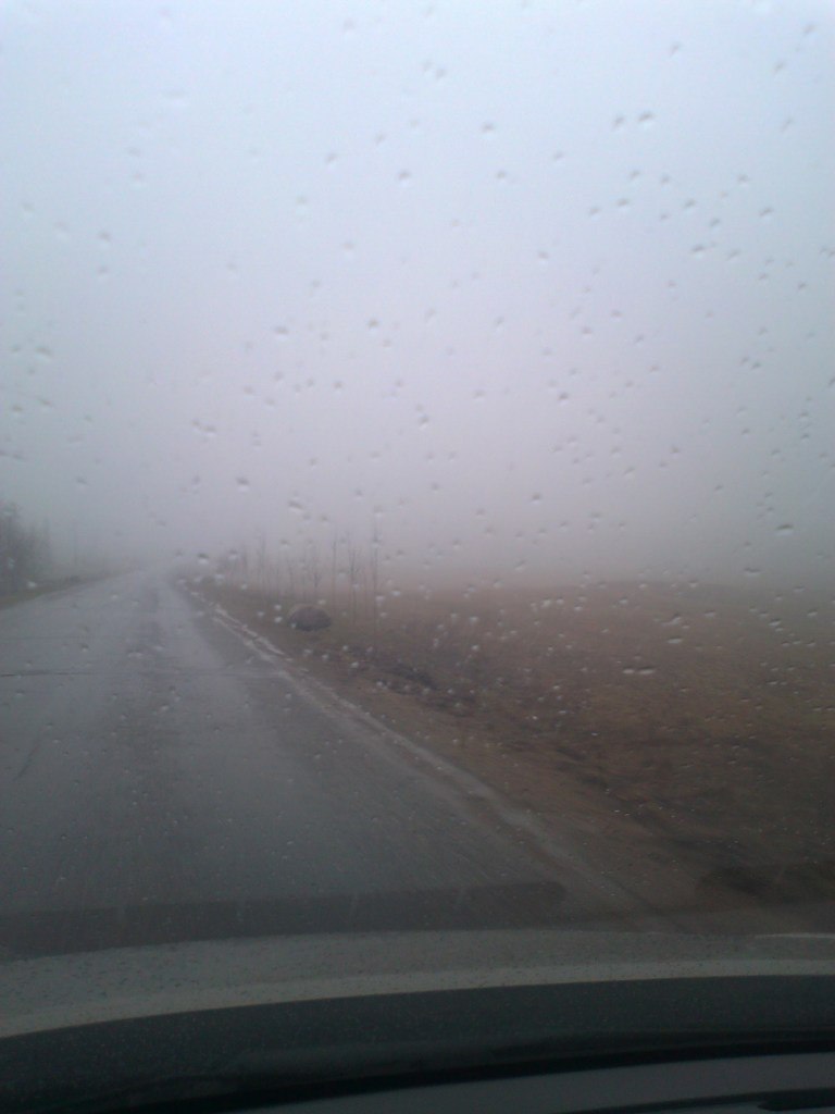 Ирина Васильева | Санкт-Петербург