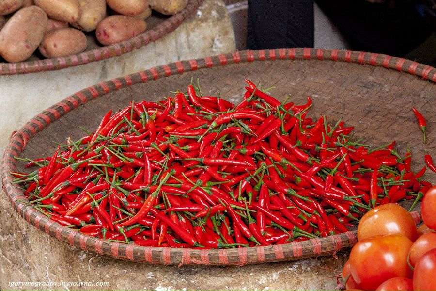 Анастасия Штучкова | Москва