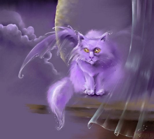 Михаил Александров | Одесса