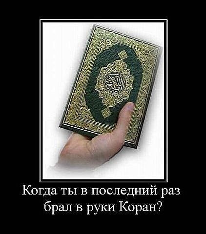 Эльмира Асанова | Белогорск