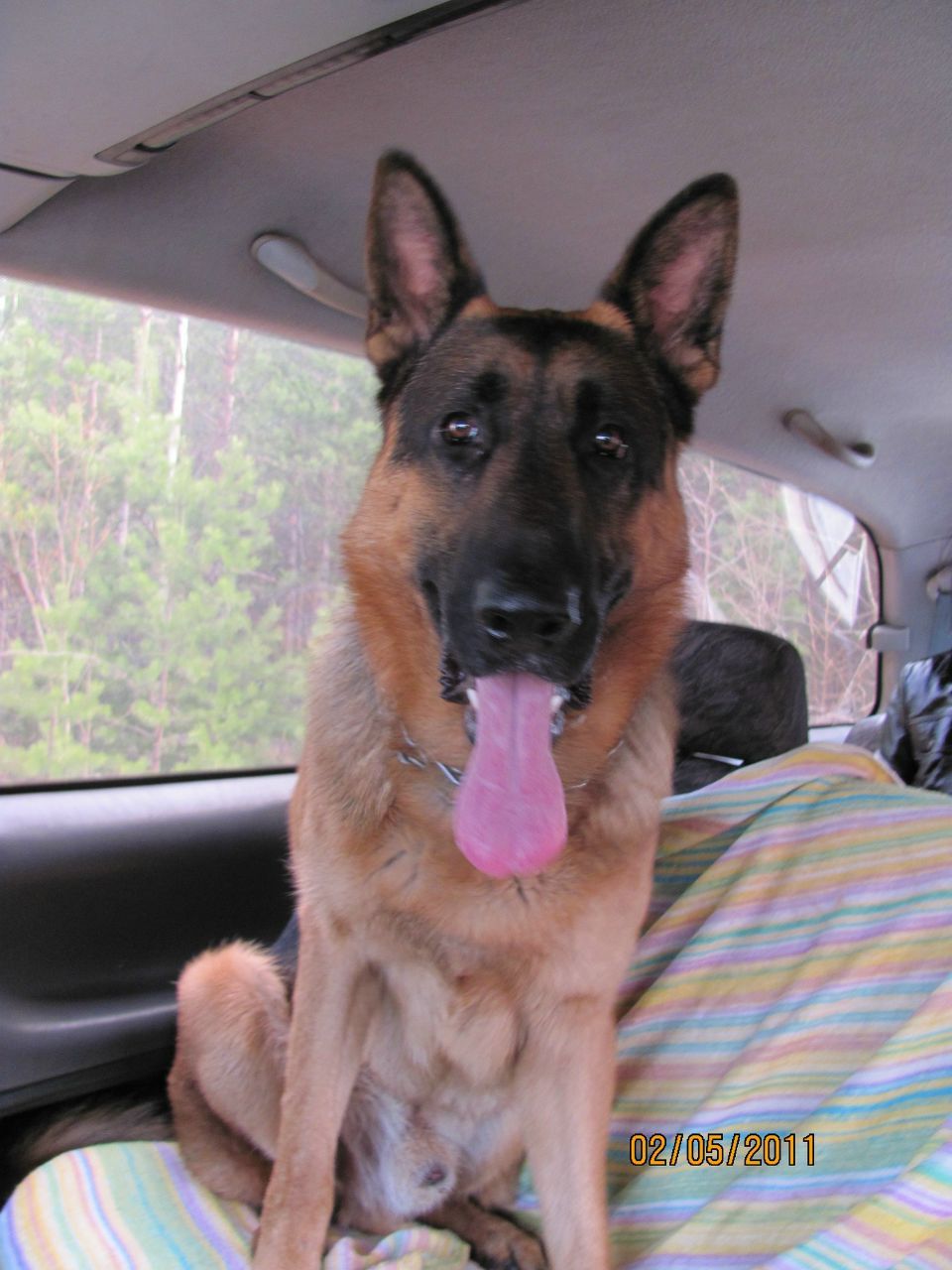 Никита Криволапов | Братск