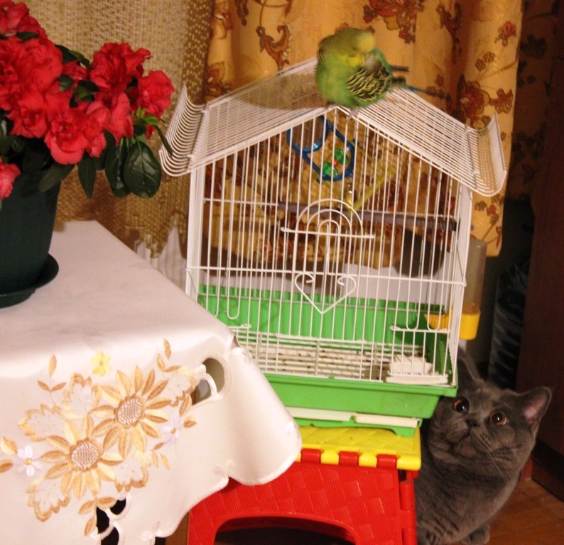 Юлия Кузема ♥ | Краснодар