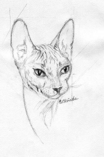 Анна Герасимова Андреевна | Астана / Нур-Султан