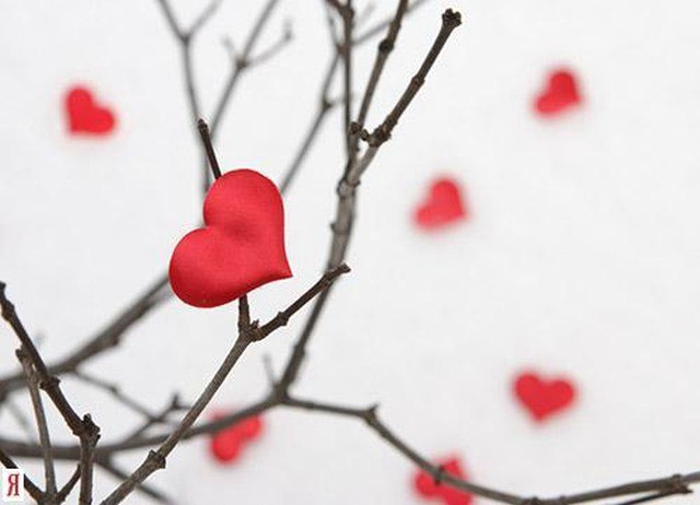 Анна Захарова | Москва