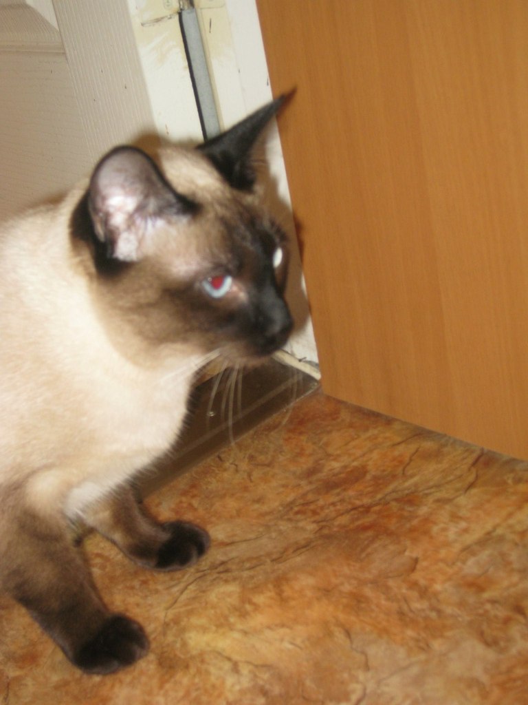 Марина Маркова | Санкт-Петербург