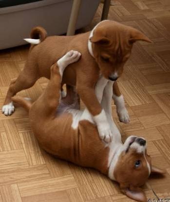 Нина Подрезова | Санкт-Петербург