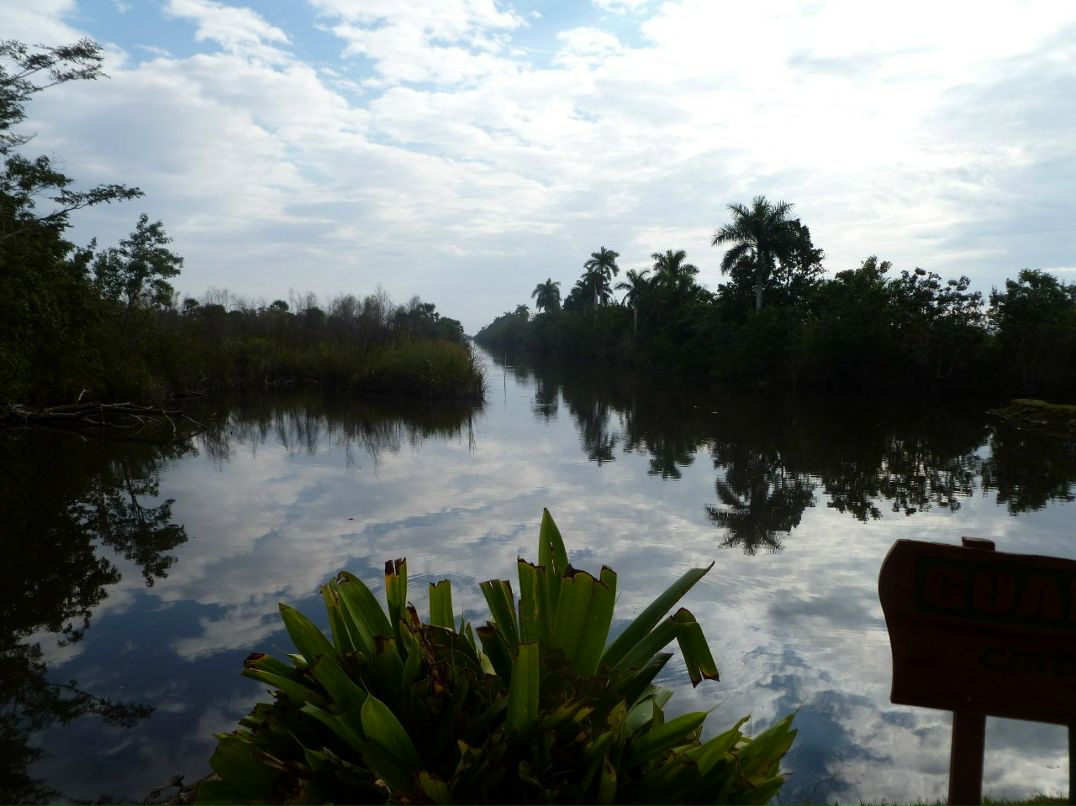 Инна Гладченко | Washington, D.C.