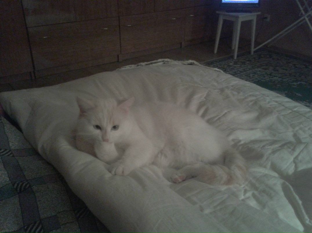 Виктория Вишнякова | Саранск