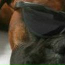 Jemes Bond «Never Say Never Again» | Сочи