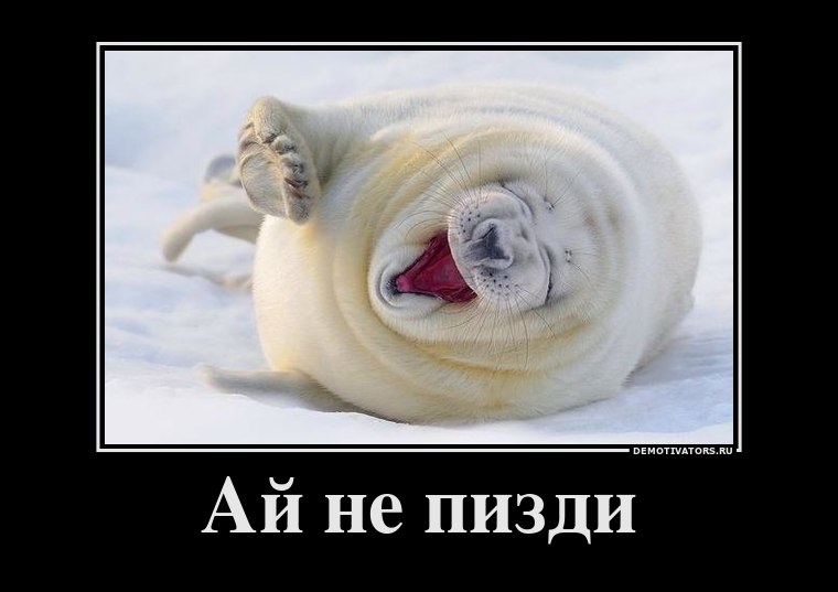 Евгений Проценко | Киев