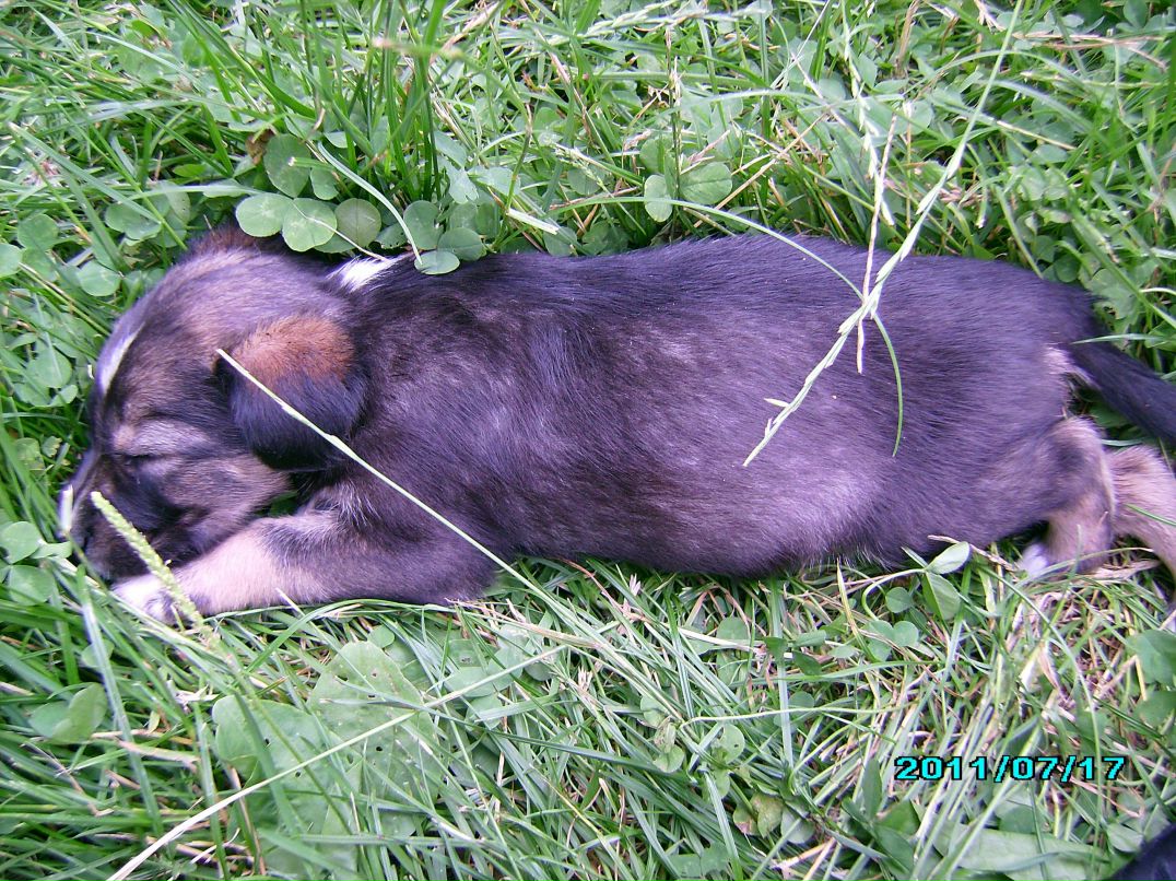 Віктор Соляник | Ивано-Франковск