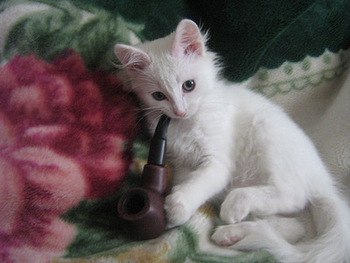 Александер Титов | Подольск