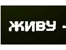 Дмитрий Белый | Воронеж