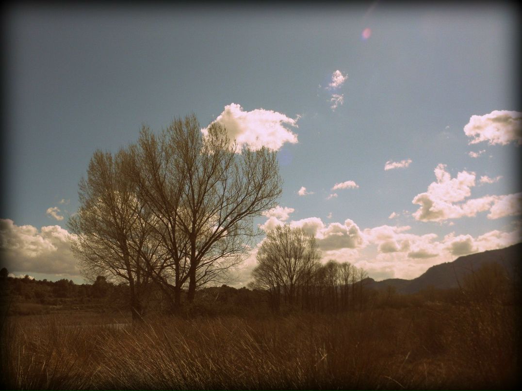 Міша Кіналь | Gaag