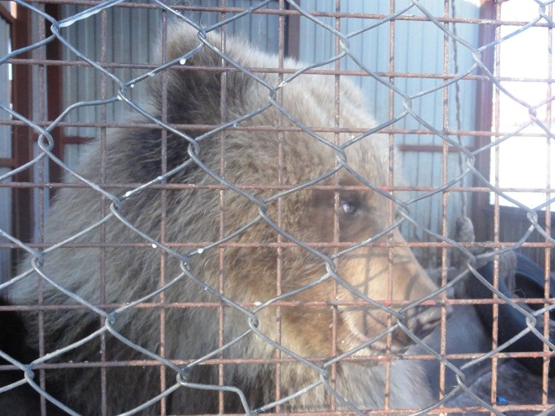 Руслан Зибров | Петропавловск-Камчатский