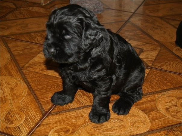 №4, Карина Карин, Барнаул №4, Карина Карин, Барнаул