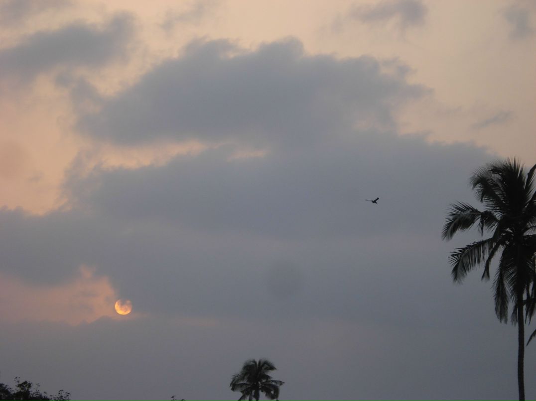 Катя Иванникова | Алматы