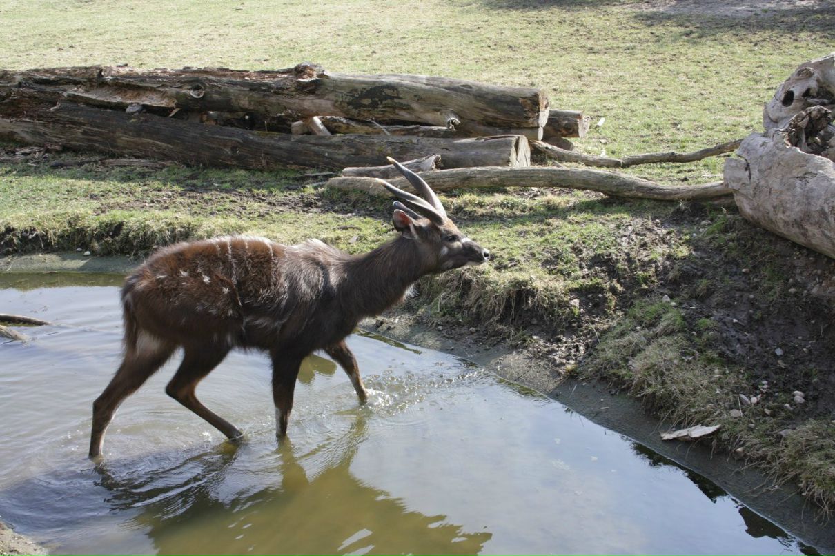 Евгения Прок | Санкт-Петербург