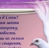 Фотография Сергей Косарев