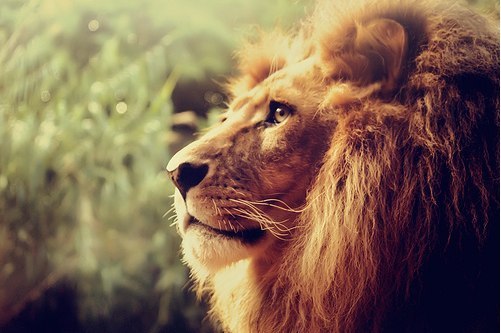 Оля Киреева | Москва