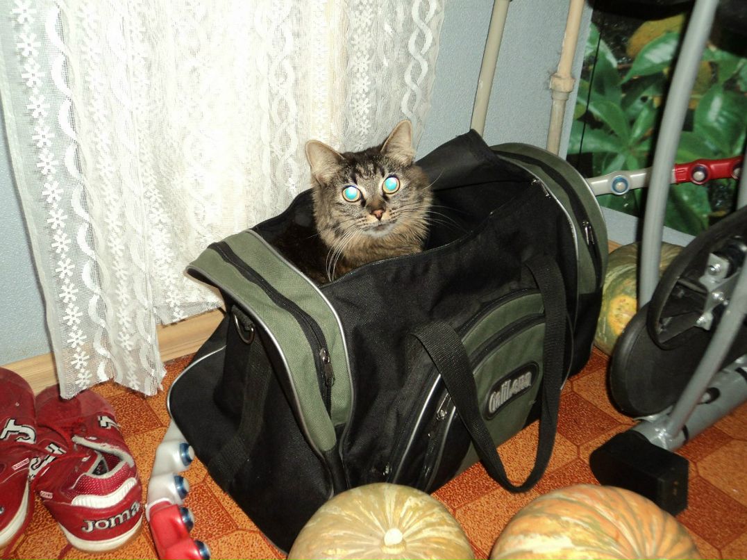 Алексей Попов | Иваново