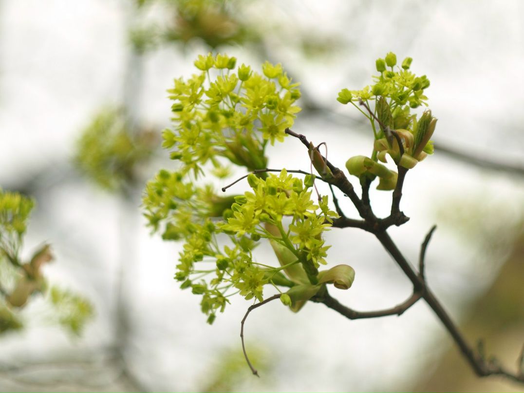 Jorj Dyachek | Одесса