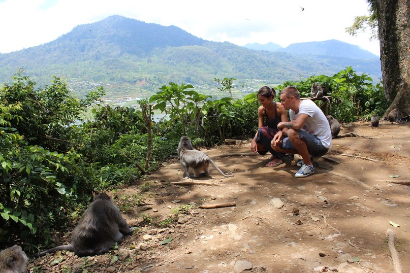 Pete Pete GFILM | Санкт-Петербург