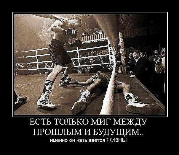 Александр Коваленко фото со стены #6