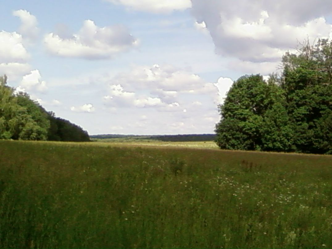 Андрей Тарасов | Ясная Поляна
