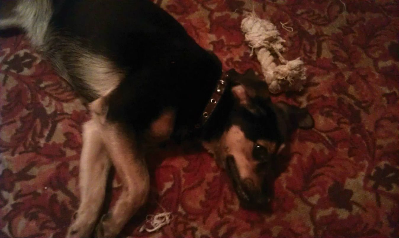 Кирилл Семенов | Москва