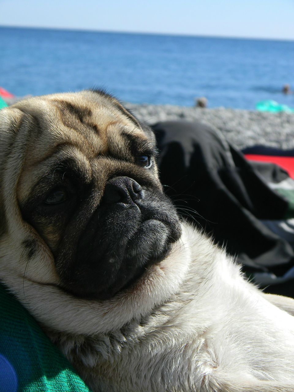 Алина Тищенко | Донецк