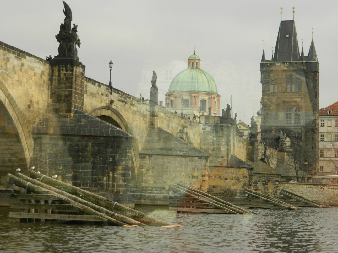 Ксения Никифорова | 