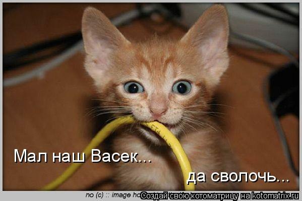 Сергей Макаревич | Воронеж