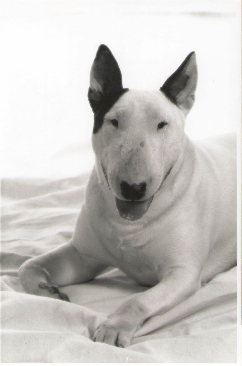 Виталий Борисок | Минск